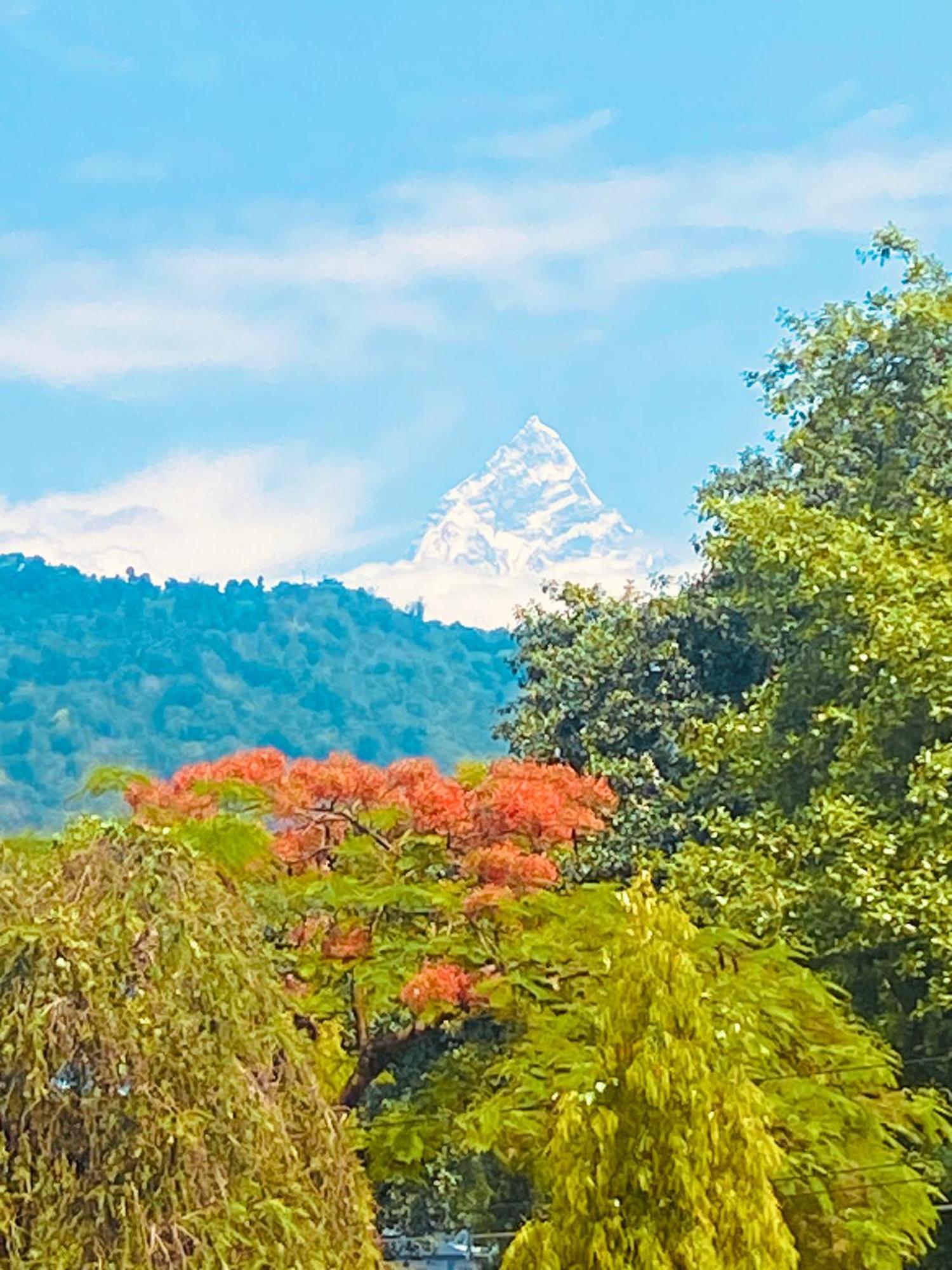 Three Jewels Boutique Hotel Pokhara Exteriör bild